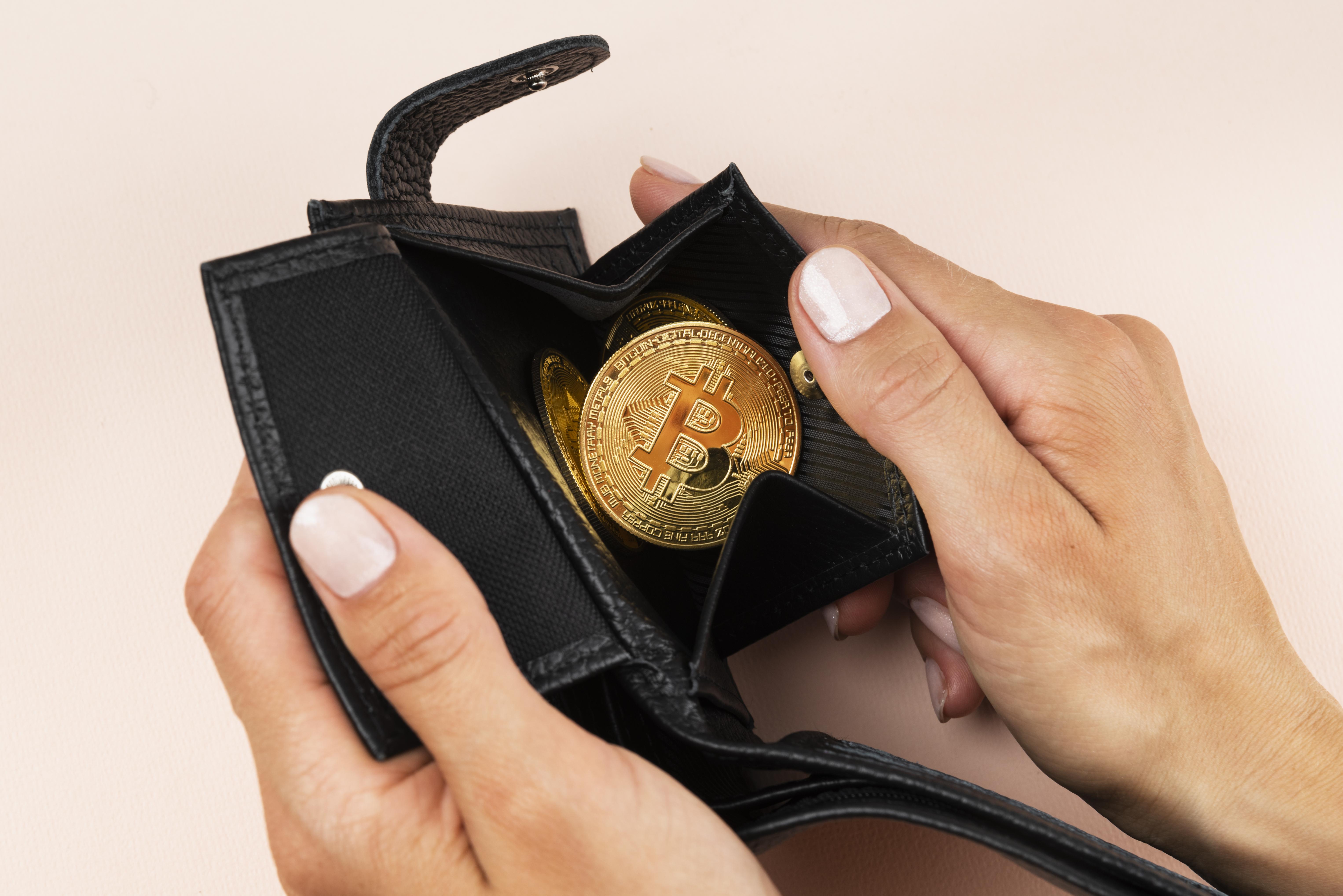 What is PPI Wallet?